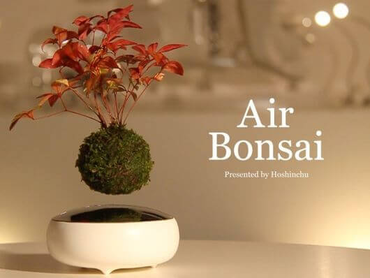 ラピュタかよっ!空中浮遊する盆栽「Air Bonsai」がクール過ぎる